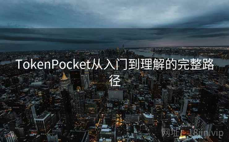 TokenPocket从入门到理解的完整路径